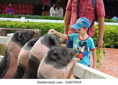 BANGKOK, THAILAND - December 13, 2014: Dream World Amusement Park.