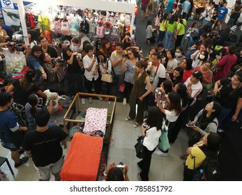 BANGKOK - THAILAND, December 15,2017 : The Dog Show In The Pet Show Festival In Bangkok Thailand.