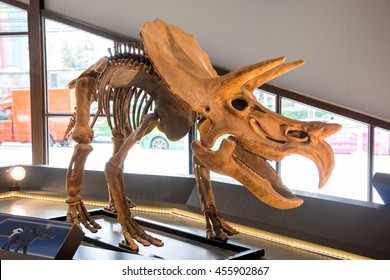 Triceratops Head Dinosaur Fossil Design Cufflinks & Organza Pouch