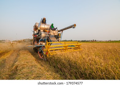 BANGKOK, THAILAND - MARCH 1 : Unidentified Farmer Harvesting Rice In Paddy Field With Harvest Car On March 1, 2014 In Nong Chok, Bangkok, Thailand.