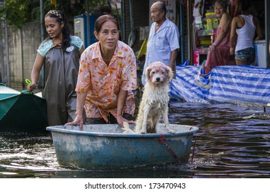 Bangkok - Thailand, Nov 6, 2011: A woman and her dog at Soi Chinnakhet, Ngamwongwan road during a big flooding in Thailand.