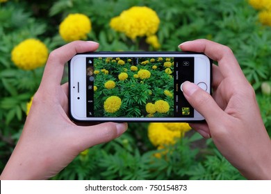 BANGKOK, THAILAND - October 31, 2017: Woman Taking A Picture On An Iphone 7 Plus.