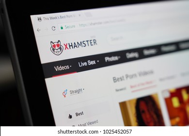 Sex website hamster BEST And