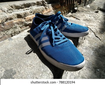 adidas donna neo sneakers