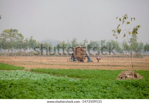 bangladesh-november-25-2014-winter-on-stock-photo-edit-now-1473509531