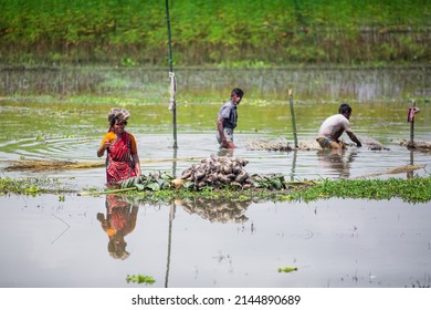 480 Bangladesh dry landscape Images, Stock Photos & Vectors | Shutterstock