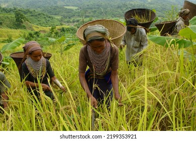 1,970 Bangladeshi village Images, Stock Photos & Vectors | Shutterstock