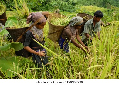 939 Bangladeshi Farmer Images, Stock Photos & Vectors | Shutterstock