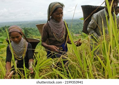 1,970 Bangladeshi village Images, Stock Photos & Vectors | Shutterstock