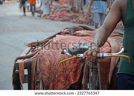 
Bangladeshi leather trader collecting leather after the cattle sacrifice during the Eid-ul-Azha at Dhaka in Bangladesh. 