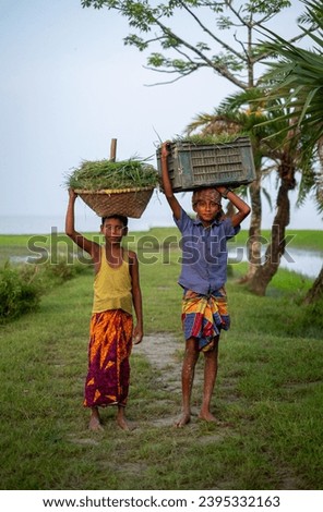 Bangladeshi young rural boys are carrying buckets of grass on their heads, child labour concept 