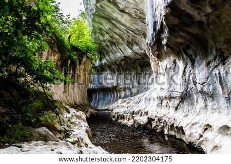 Banita gorges (Cheile Banitei) near Petrosani city, Hunedoara county, Romania. Zdjęcia stock © 