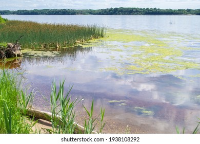 315 Sludge banks Images, Stock Photos & Vectors | Shutterstock