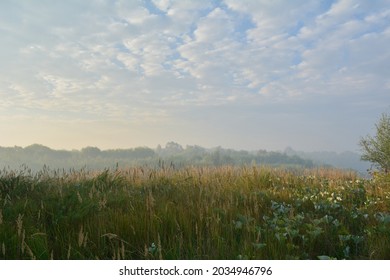 Bank Of The Moksha River On The Border Of Bashkiria