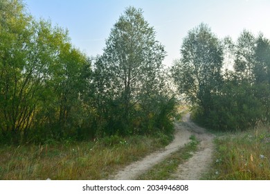 Bank Of The Moksha River On The Border Of Bashkiria