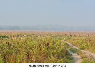 Bank Of The Moksha River On The Border Of Bashkiria