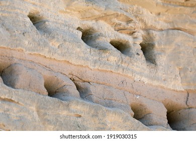 Bank Swallow Nesting Time On A Summer Day