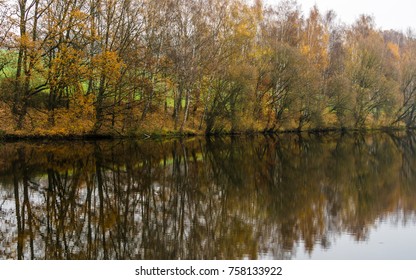 Bank with trees reflected in water surface