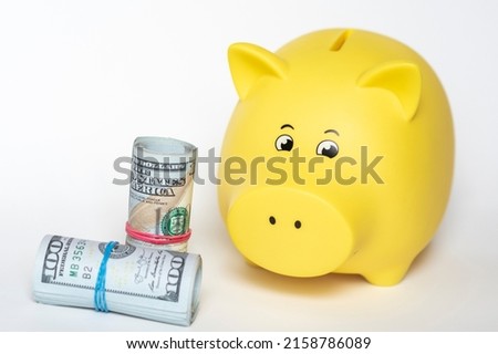 Bankrolls of USA currency, american dollar banknotes, cash roll next to yellow piggy bank, saving money conecpt,  business finance and investment,financial planning