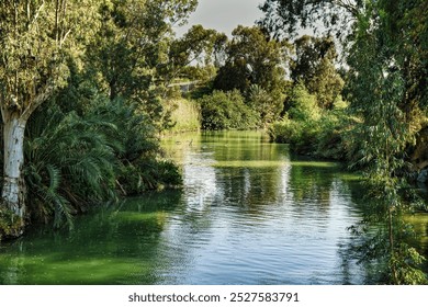 Banks of the Jordan River at the baptismal site, Israel