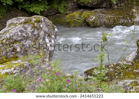 The banks of a mountain river, the riverbed in a granite canyon and the swift current.