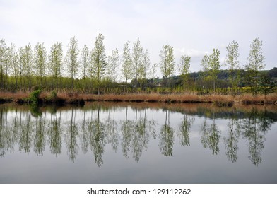 The Banks Of The River Somme