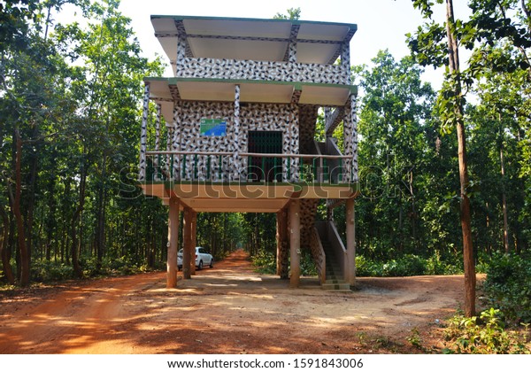 Bankura, West
Bengal, India, 20 June 2019: A concrete elephant watch tower in the
middle of a teak tree forest with green leaves and red mud of
Bankura District of West Bengal,
India