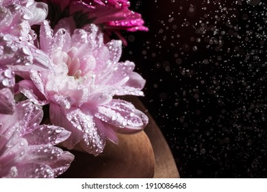 Banner With Beautiful Bouquet Of Chrysanthemum Under Water Drops Spray On Black Background With Copy Space. Business Card Of Online Shop Delivery Service. Funeral Flower. Day Of Remembrance. Darkness.