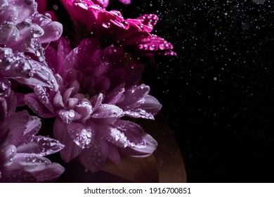 Banner With Beautiful Bouquet Of Chrysanthemum Under Water Drops Spray On Black Background With Copy Space. Business Card Of Online Shop Delivery Service. Funeral Flower. Day Of Remembrance. Darkness.