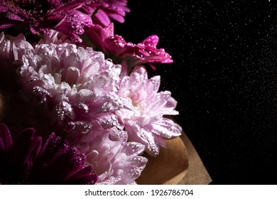 Banner With Beautiful Bouquet Of Chrysanthemum Under Water Drops Spray On Black Background With Copy Space. Business Card Of Online Shop Delivery Service. Funeral Flower. Day Of Remembrance. Darkness.