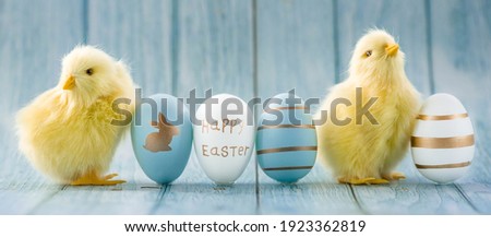 Banner. Blue, yellow, white eggs and yellow chicks on a blue wooden background. The minimal concept. An Easter card with a copy of the place for the text.