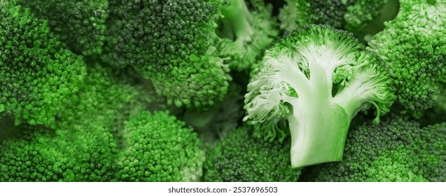 The banner displays a close-up of fresh, vibrant green broccoli florets. The focus is on the intricate texture and details of the broccoli heads, showcasing their natural patterns and fresh appearance - Powered by Shutterstock