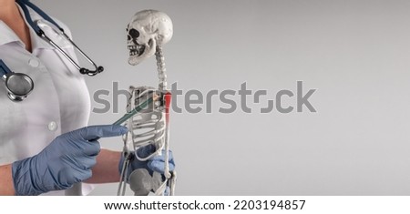Banner with doctor pointing to skeleton arm with red shoulder with pencil. Painful joints. Skeletal system anatomy, body structure, medical education concept. Copy space. High quality photo