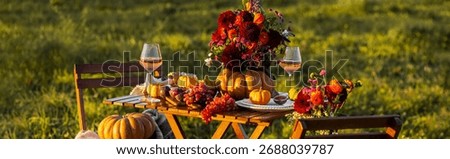 Banner. Fall table decoration with pumpkin composition. Family cozy thanksgiving dinner arrangement outdoors, in a garden, elegant wedding decor. Countryside style, rose wine, fruits, autumn mood