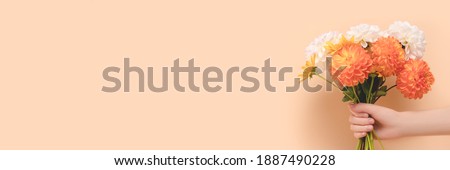 Banner with female hand hold bouquet of dahlia flowers in front of beige background. Woman giving gift for 8 March with copyspace.