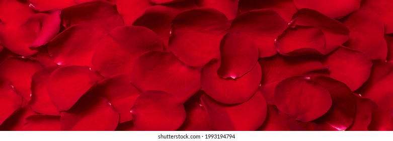 ヘッダー 赤 の写真素材 画像 写真 Shutterstock