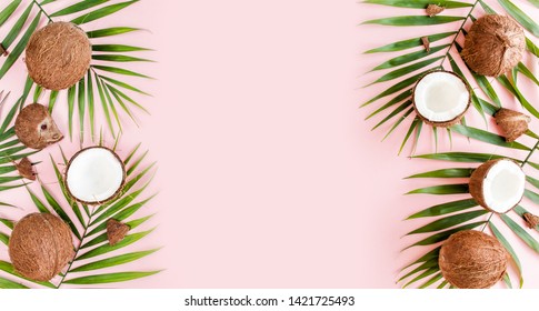 Pancarta, bordes de marco con cocos y hojas tropicales de palma en fondo rosa. Fondo tropical abstracto. Piso plano, vista superior.