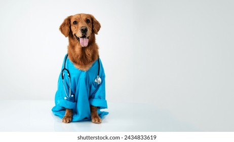 A banner with free space for text, on which is a dog of the Golden Retriever breed in a blue veterinarian's suit with a stethoscope around his neck. A humanized dog Veterinarians Day. - Powered by Shutterstock