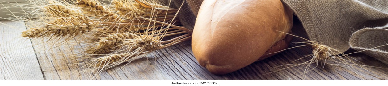 banner of Freshly baguettes baked bread and wheat spikes on wooden background.