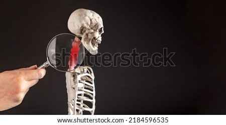Banner with hand with magnifying glass over cervical vertebrae of human skeleton model. Neck pain, stiffness concept with red point. Health problems, anatomy concept. Copy space. High quality photo