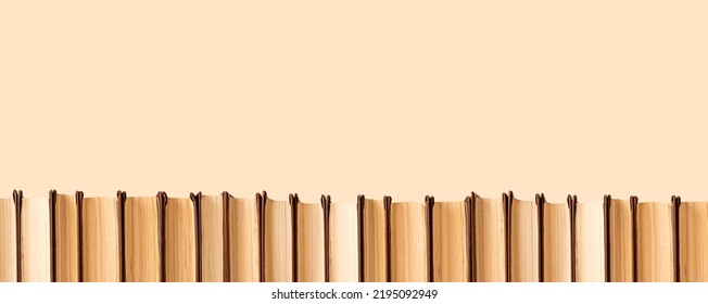 Banner with horizontal books border on pastel background. Education, wisdom concept. Row of hardcover novels, encyclopedias, guides. Place for text. High quality photo