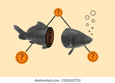 Banner imag 3d picture absurd collage illustration two parts of fish carp catfish question mark isolated on painted background - Powered by Shutterstock