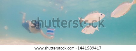 BANNER, LONG FORMAT Happy man in snorkeling mask dive underwater with tropical fishes with thailand flag in coral reef sea pool. Travel lifestyle, water sport outdoor adventure, swimming lessons on