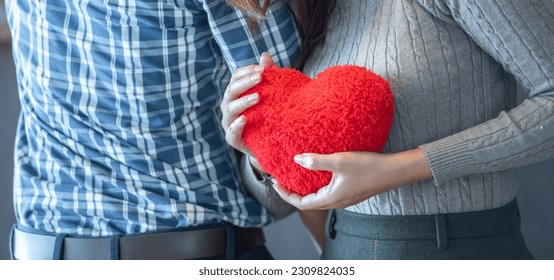 banner of Lover couple happy in love relaxing on sofa looking in eye smiling teasing with big red heart shape pillow in valentine day honeymoon. teasing teasing with red heart pillow. - Powered by Shutterstock