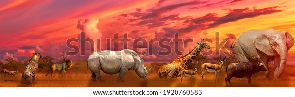 Banner panorama of Big Five and wild animals collage with african landscape at sunrise in Serengeti wildlife area, Tanzania, East Africa. Latest Africa safari scene in savannah landscape wallpaper. 