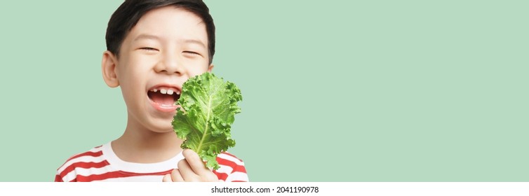 Banner Portrait Of An Adorable Healthy Asian Boy In Stripe T-shirt Happy Laughing With Fresh Green Kale Leaf In His Hand. Kids Love Veggies Concept. 7-8 Years Old, Vegan, Vitamins, Copy Space, Green