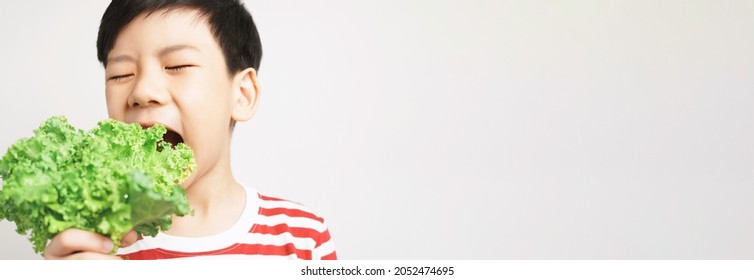 Banner Portrait Of An Adorable Healthy Asian Boy In Stripe T-shirt Happy Eating Fresh Green Kale Leafs In His Hand. Kids Love Veggie Concept. 7-8 Years Old, Teeth, Calcium, Vegan, Vitamins, Copy Space