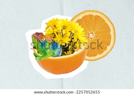 Banner poster collage of funky chameleon lizard woman day surprise with yellow flower bunch in mandarin decor pot