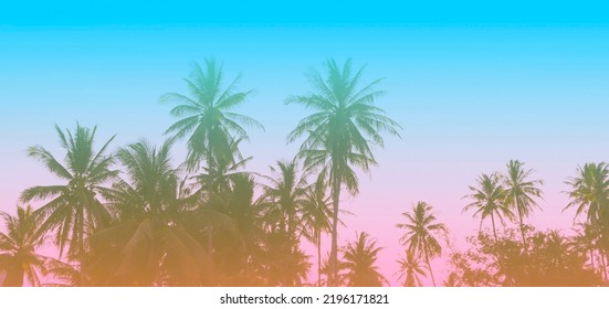 The banner of Summer colorful theme with palm trees background as texture frame image background     - Shutterstock ID 2196171821