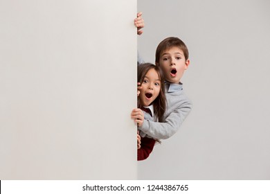 Banner with a surprised children . Sublings day. The portrait of cute little kids boy and girls looking at camera against white studio wall. Kids fashion 
